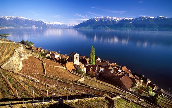 View of the Lavaux vineyards on the shores of Lake Geneva