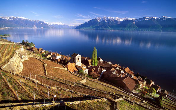 I terrazzamenti per la coltivazione della vite nel Lavaux, Lago di Ginevra