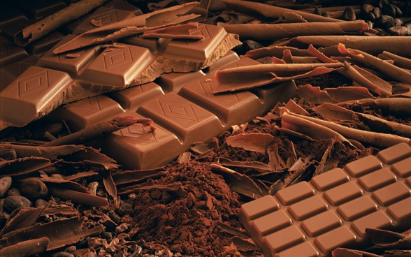 Плитка швейцарского шоколада