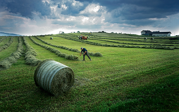 Harvesting hay in a field in the Swiss Plateau.