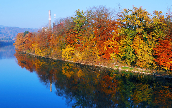 Trees line the banks of the River Aare in the canton of Solothurn. The golden and russet autumn leaves are reflected in the water.