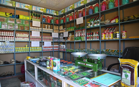 Tolo Fruit Cooperative’s Shop