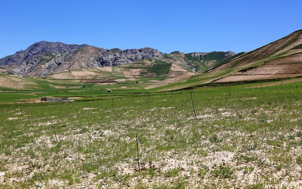 A newly established Orchard in Sare-Ghar village        