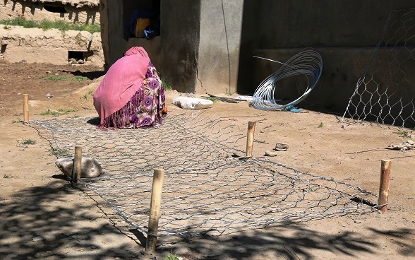 Gabion weaving by women