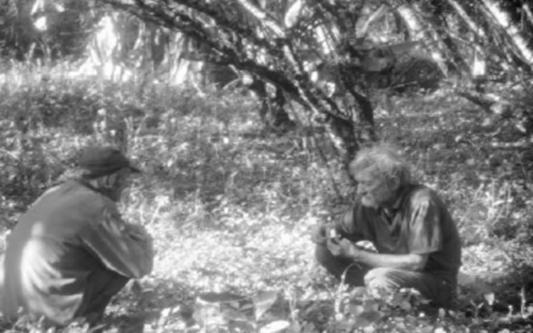 Filmstill «Paradies»
