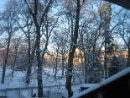 Blick aus dem Kabinetttheater in den Liechtensteinpark