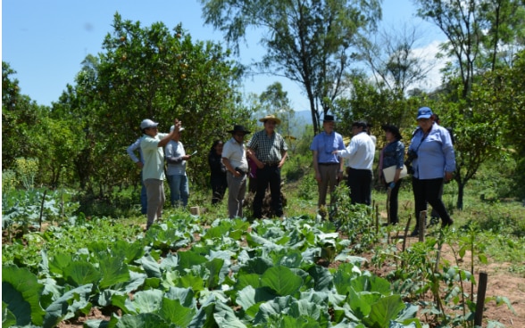 Certificación y educación alternativa mejoran la calidad de vida de productores, jóvenes y adultos en Tarija
