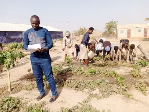 Des élèves travaillant dans le jardin maraîcher de l'école en présence de leur enseignant