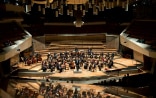 NZO | (Photo Concert in the Philharmonie Berlin 1.6.2014)