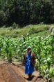 Beneficiaries of the project "nuestra cuenca Goascorán"