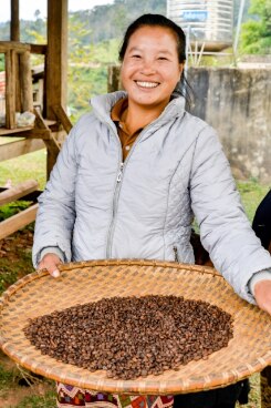 Ms Seaumkham Lertmanyphan, a member of the Keoset Community Coffee in Khoun district, Xieng Khuang province, Lao PDR.