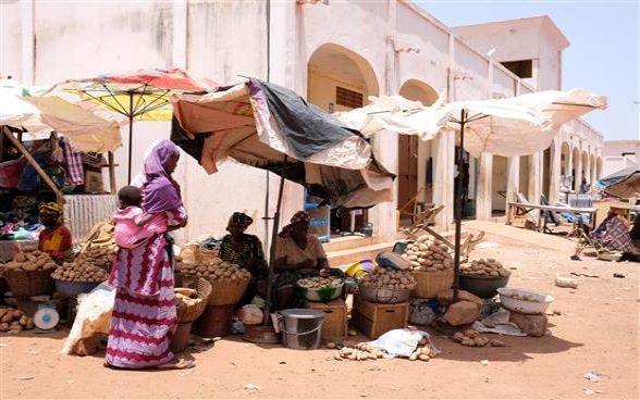 Marché de pomme de terre