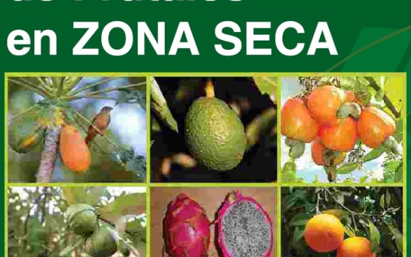 Documento Manejo ecológico de frutales en zona seca