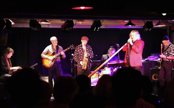 Jazzband Hornbox