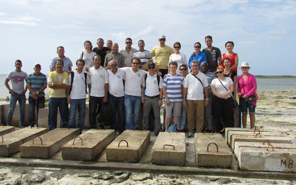 Karen Scrivener insieme a partner di ricerca cubani e produttori di cemento latinoamericani di fronte a blocchi di cemento sulla costa cubana.