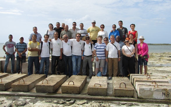 Karen Scrivener insieme a partner di ricerca cubani e produttori di cemento latinoamericani di fronte a blocchi di cemento sulla costa cubana. 