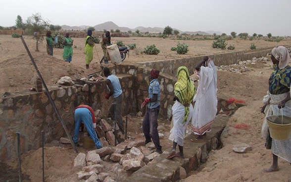 Frauen und Männer arbeiten gemeinsam am Bau von Sohlschwellen in der tschadischen Sahelzone.