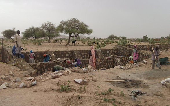 Le donne partecipano ai lavori di costruzione delle briglie di consolidamento nel Sahel ciadiano.