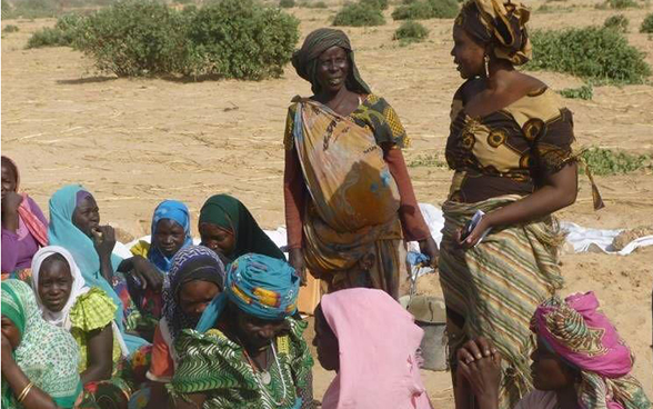 Groupe de femmes dans le Sahel tchadien.
