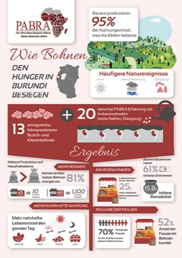 Infografik zum Pojekt PABRA in Burundi.