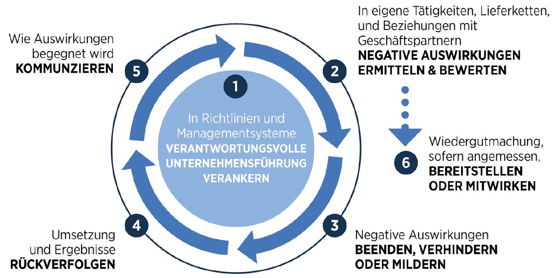 Ein Tortendiagramm zeigt die sechs Schritte, die Unternehmen unternehmen müssen, um Verantwortung zu übernehmen.