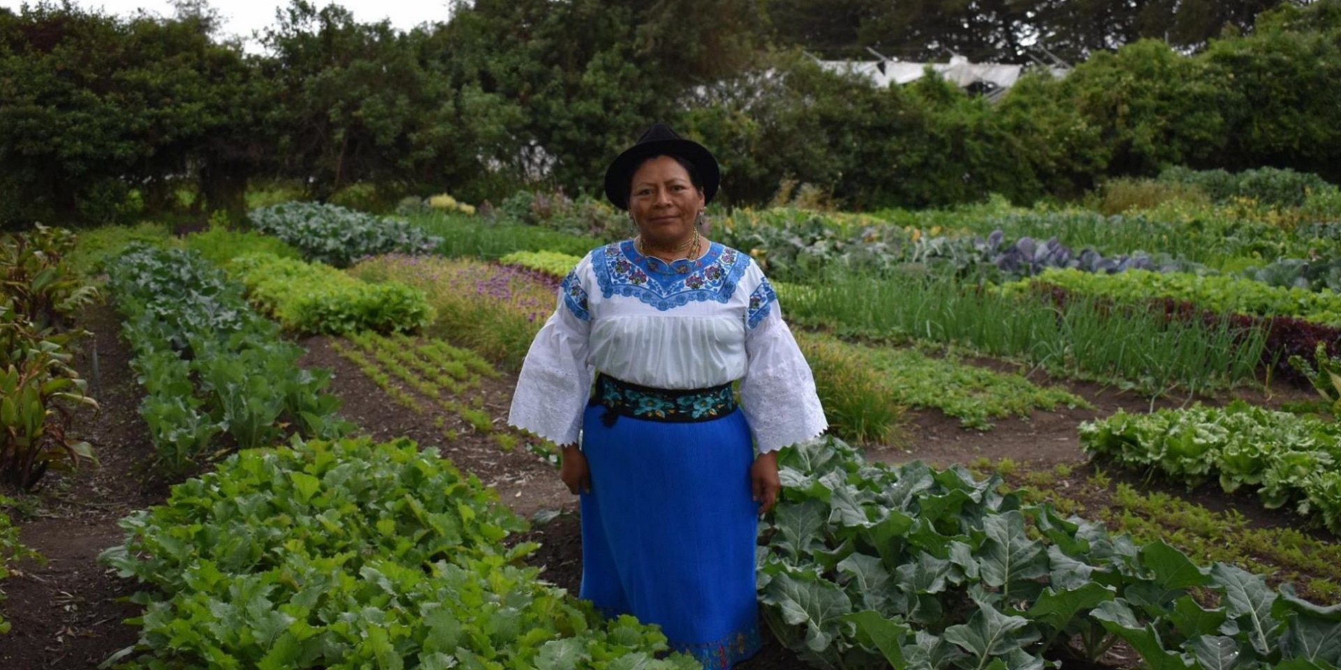 Erlinda Pillajo en su sembradío en Ecuador.