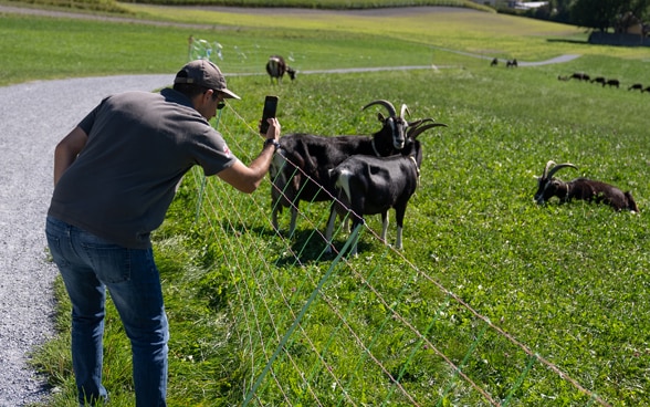 Sandro Didebashvili macht ein Foto von einer Ziege.