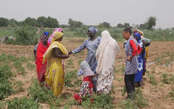 Patricia Danzi se reúne con un grupo de mujeres en un campo de cultivo.