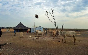Fragilité: entre défis et perspectives. Trois pays sous la loupe