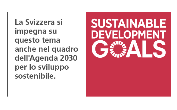 Sustainable Development goals Agenda 2030