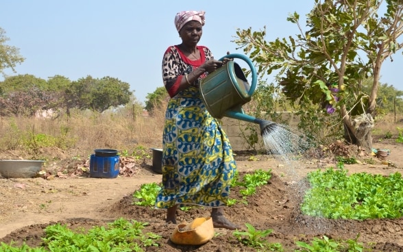 Una donna beninese annaffia il suo orto.