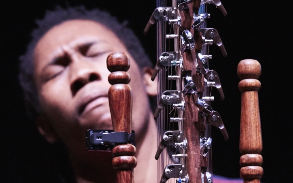 A close-up of one of the musicians. His face is out of focus behind the strings of his instrument.