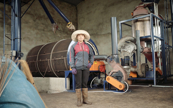 Mujer vietnamita delante de un secador de café alimentado con energía producida por pirólisis.