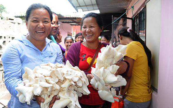 Zwei nepalesische Frauen halten gesammelte Pilze in den Händen.