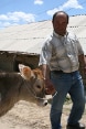 Ein armenischer Bauer mit seinem Kalb