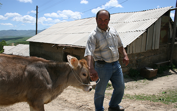 Armenian Farmer with his calf