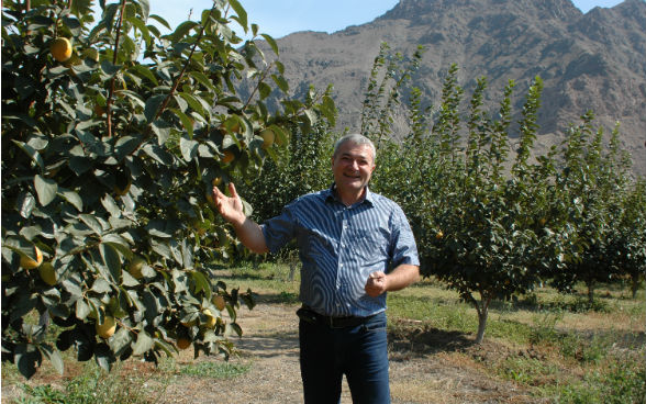 The picture shows an Armenian producer standing next to one of his fruit trees.