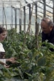 La foto mostra Medea e il suo professore mentre esaminano le verdure coltivate in una serra della scuola media di Senaki.