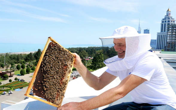 Ein Mann in einem Schutzanzug hält auf dem Dach eines Hochhauses eine Bienenwabe voller Bienen.