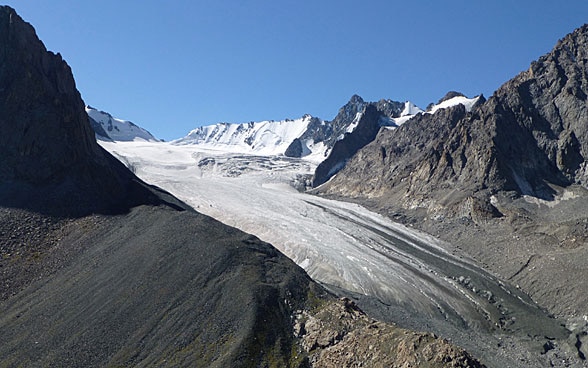 Blick auf den Golubingletscher.