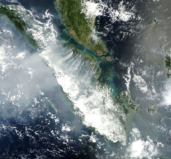 Satellitenbild mit Rauchfahnen von Waldbränden in Sumatra.