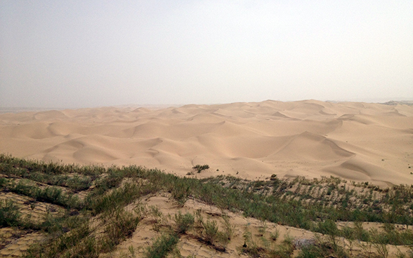 Paesaggio desertico nella provincia di Ningsia, nella Cina settentrionale.