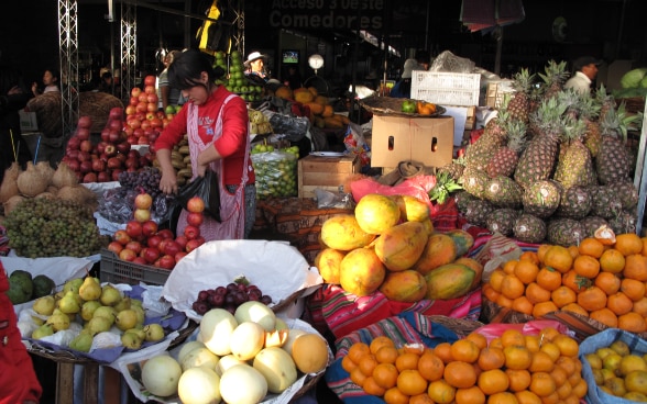 Una mujer en medio de una gran variedad de frutas y manzanas apiladas.