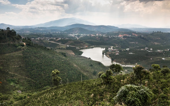 Rivière Srepok, Vietnam, utilisation efficiente de l’eau dans la production de café. 