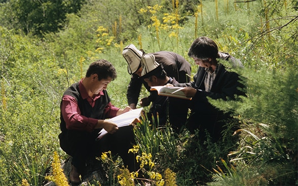 Försterausbildung in Kirgisistan