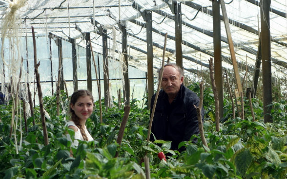 La foto mostra Medea e il suo professore tra file di piante di peperone nella serra della scuola media.