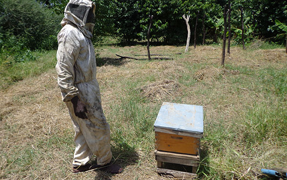 En Darfur (Sudán), un apicultor está de pie ante una colmena de madera. 