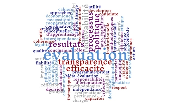 Le «nuage de mots» (word cloud) représente en différentes tailles les termes les plus importants autour de la mesure de l’efficacité de la DDC.