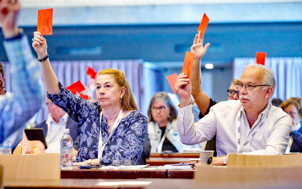 The picture shows some members of the Council of the Swiss Abroad. 