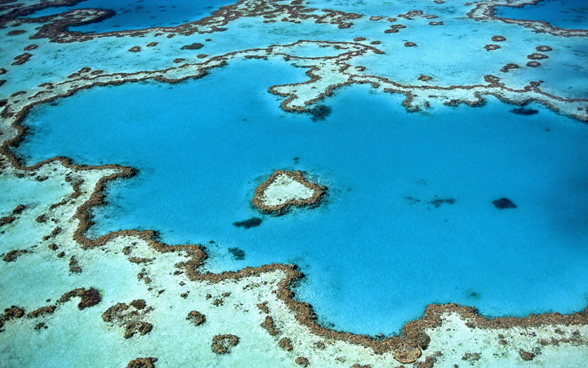 L'image est une photo de la Grande Barrière de Corail prise d'en haut.